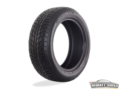 BFGoodrich Winter T/A KSI 205/55 R16 91T