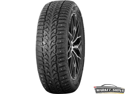 Compasal Winter Stud 225/55 R18 102T